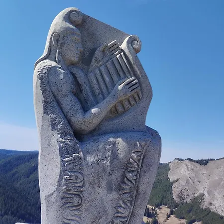 Adventure * ترايغراد